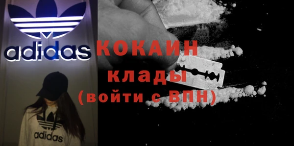 сатива Баксан